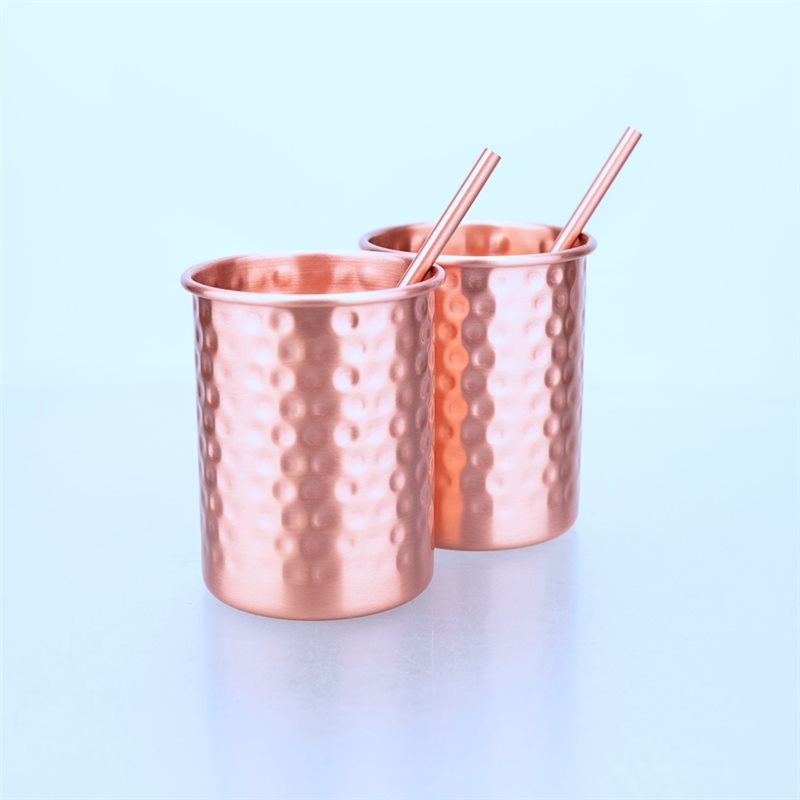 ABLU-2PC 400Ml Copper Color St - đánh giá và giá Copper Cocktail Mug